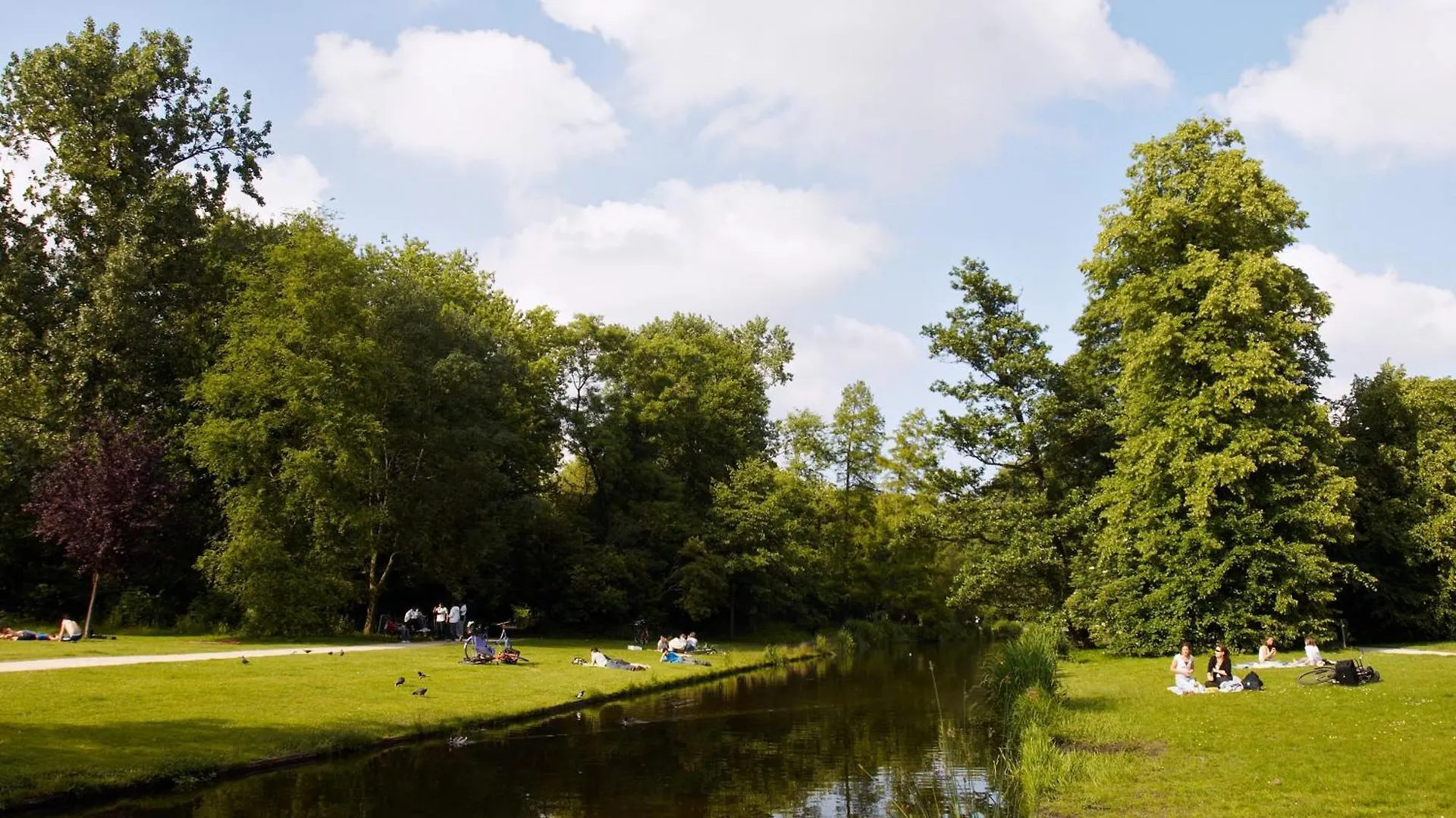 Hotel Park Plaza Vondelpark Amsterdam 4*,